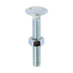 Carriage Bolts & Hex Nuts Zinc