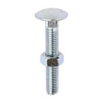Timco Carriage Bolt & Hex Nut - BZP