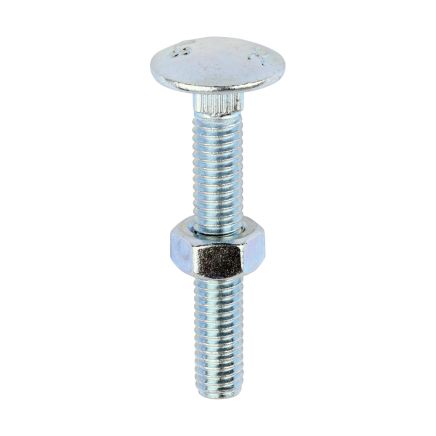 Carriage Bolts & Hex Nuts Zinc