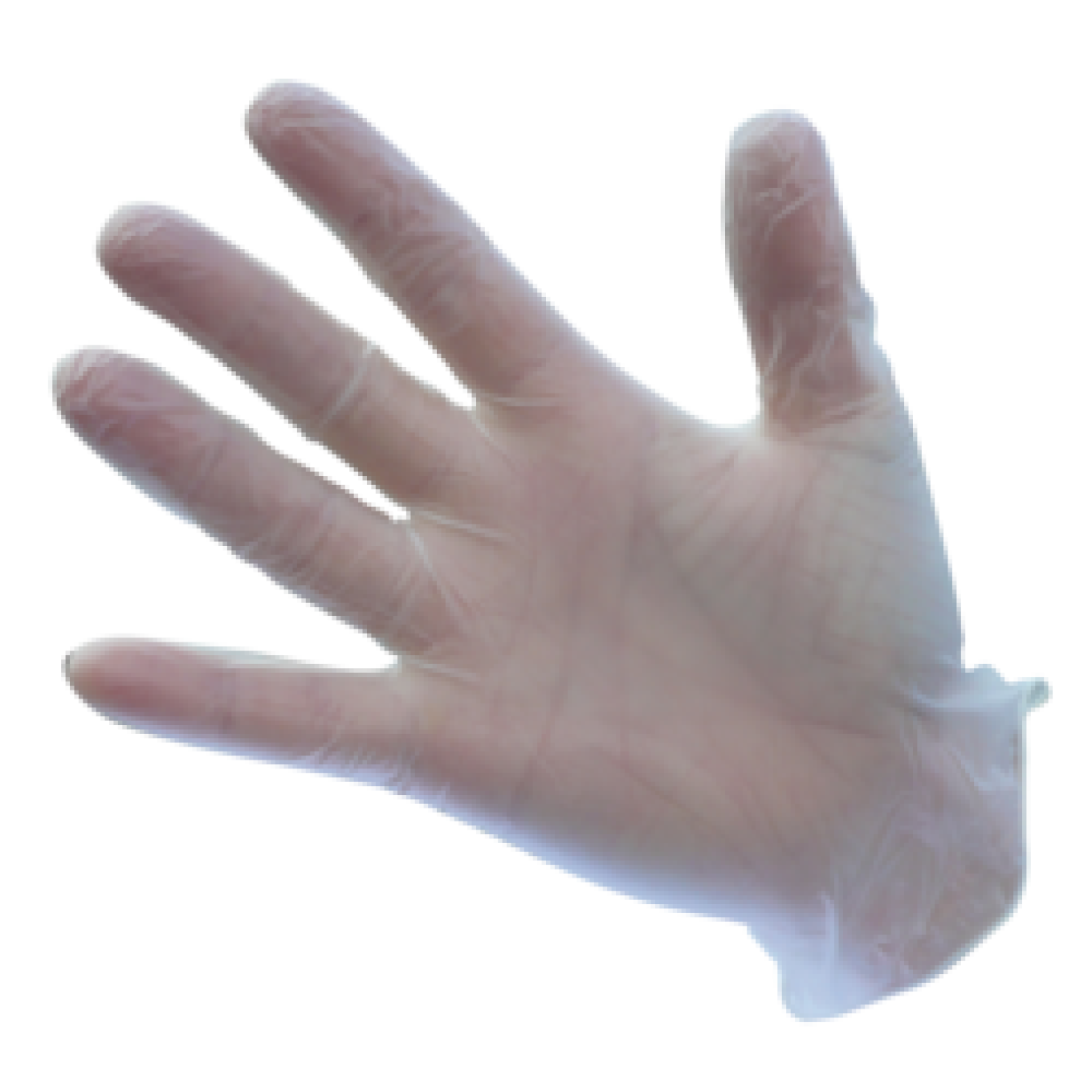 Portwest Vinyl Disposable Gloves (100 Piece)